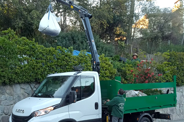 Disseny i construcció de jardins