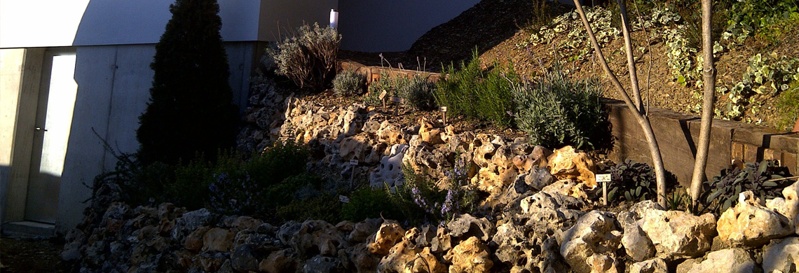 Construcció d’una Rocalla i Plantació