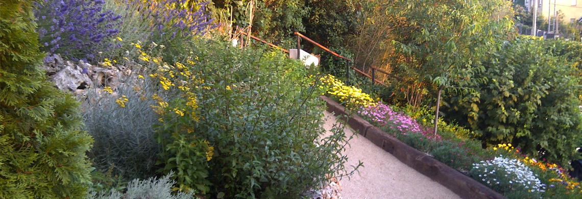 Construcció d’una Rocalla i Plantació