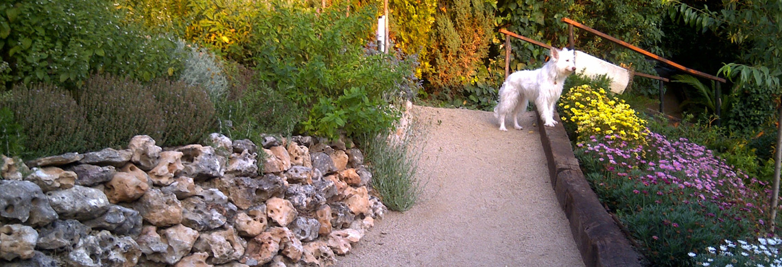 Construcció d’una Rocalla i Plantació